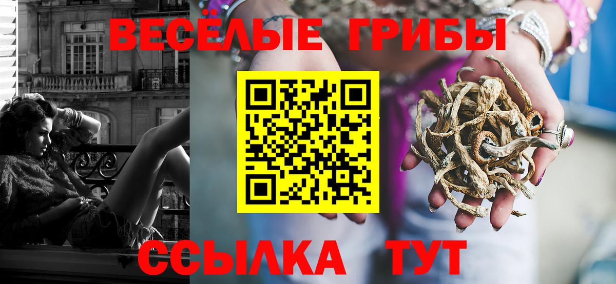 Псилоцибиновые грибы MAGIC MUSHROOMS  Вход с VPN  Псилоцибиновые грибы мицелий  Евпатория 